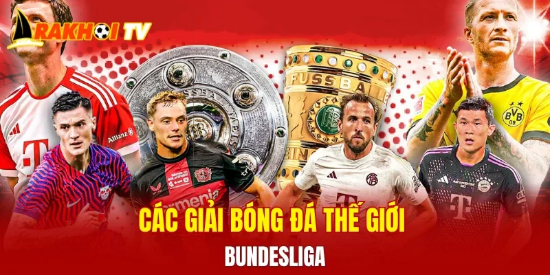 Các giải bóng đá thế giới - Bundesliga